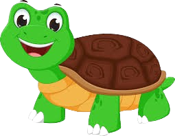 Tortuga